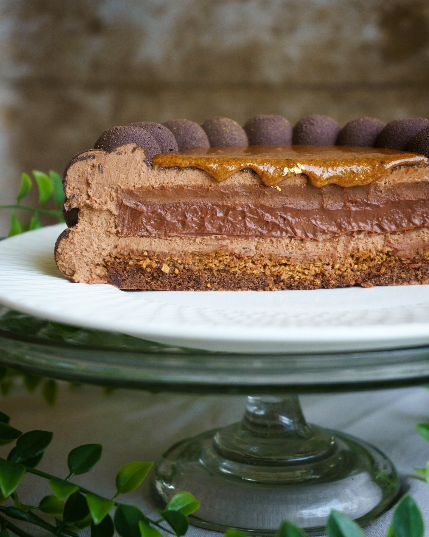 Entremet Chocolat / Noisettes du Piémont