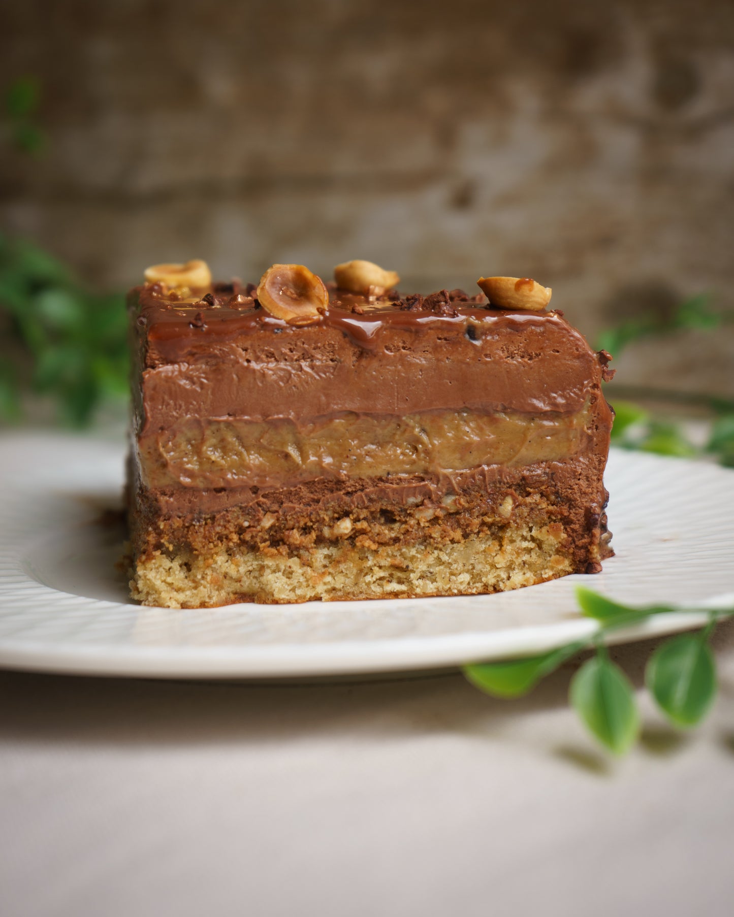 Entremet Chocolat / Noisettes du Piémont