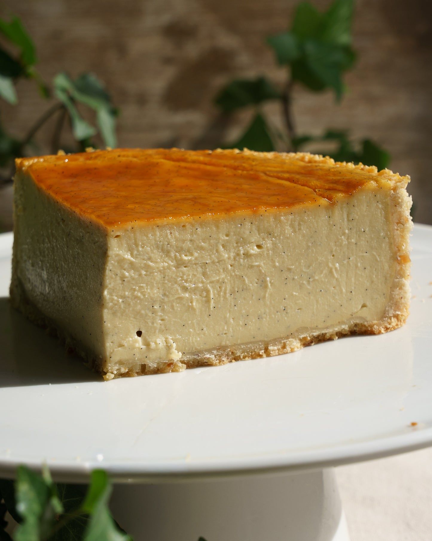 Flan Vanille intense
