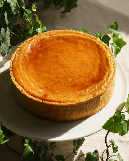 Flan Vanille intense