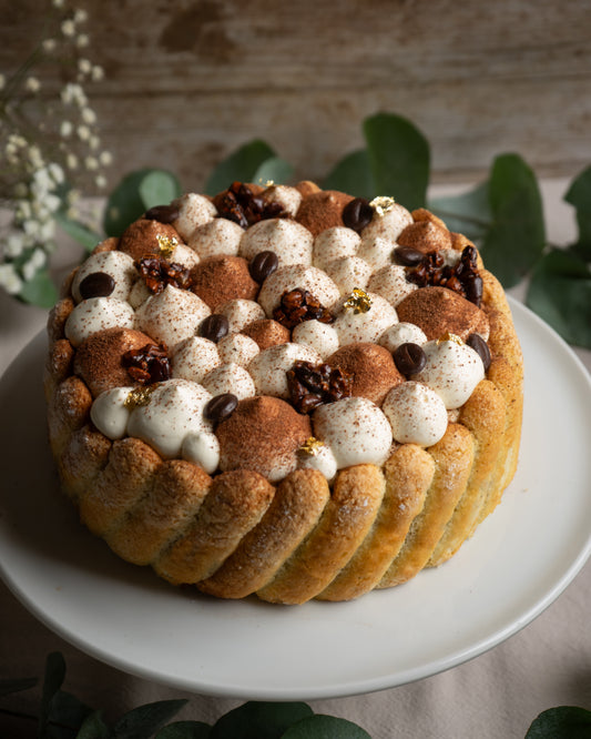 Charlotte Tiramisu